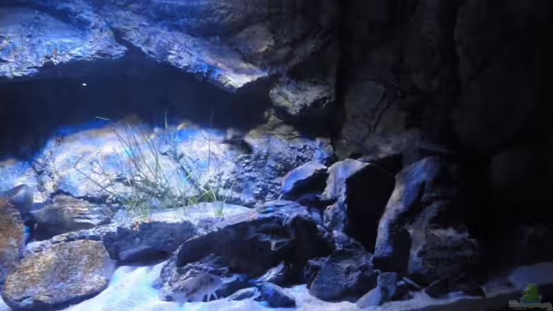 halbes HStonemodul und Basalt von Strücher Jung (6)