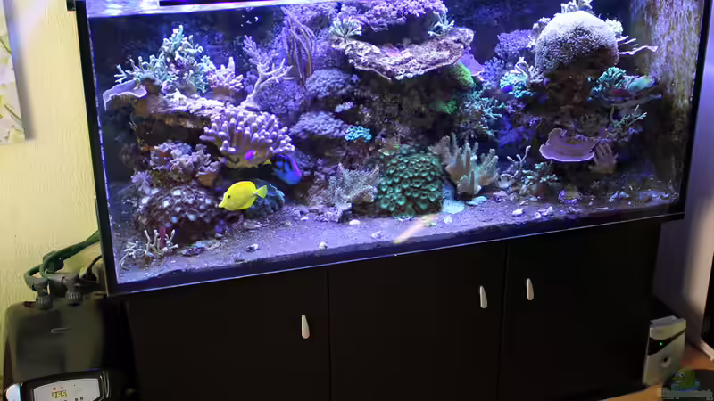 Halbtotale von The_Lizardking (4)