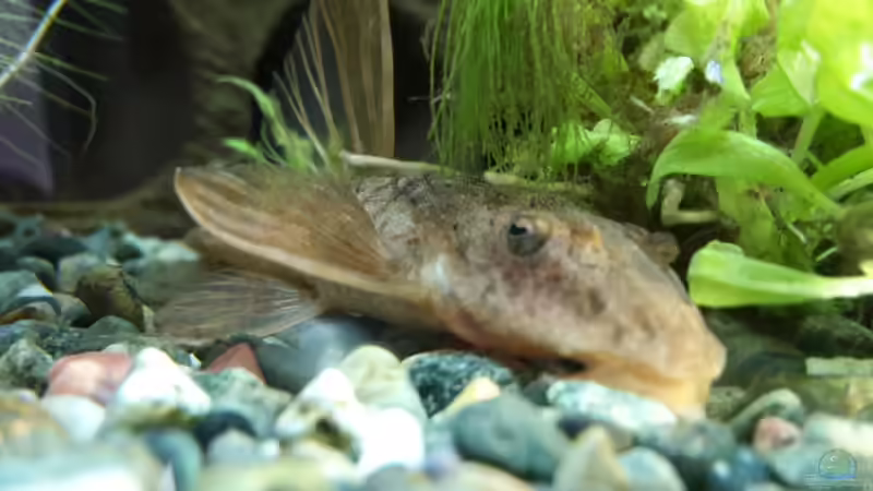 Hallo :) von Kathrin77 (45)