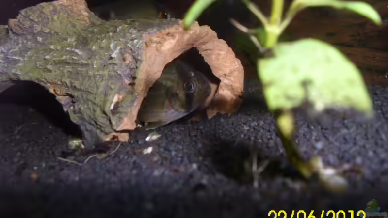 Hallo, ich bin neu hier von Günther Kröger (43)