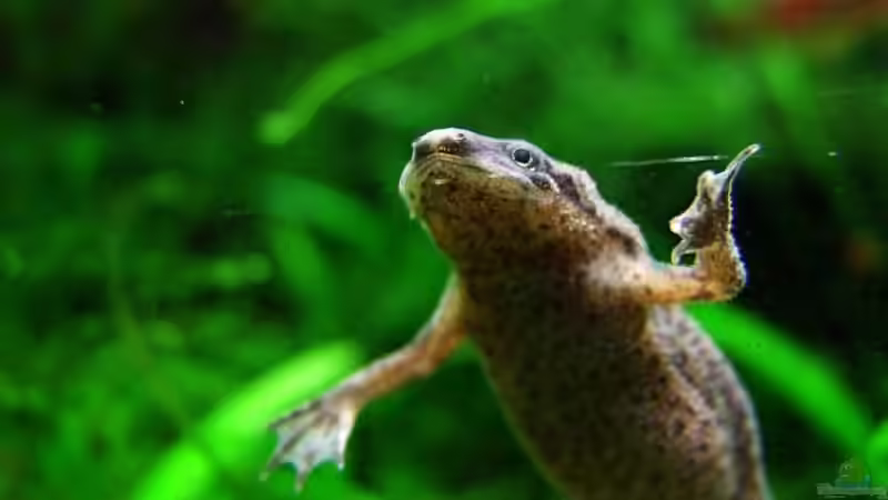 Hallo da draußen! von Denise83 (12)