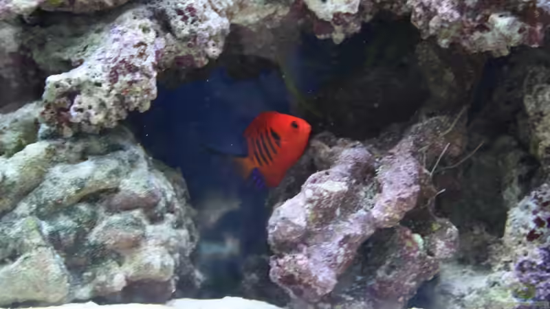 Hallo Herr Kaiser ;-) von Thorsten John (27)