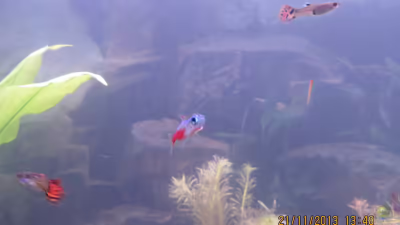 Hallo ihr da draußen :-) von janine wolf (9)