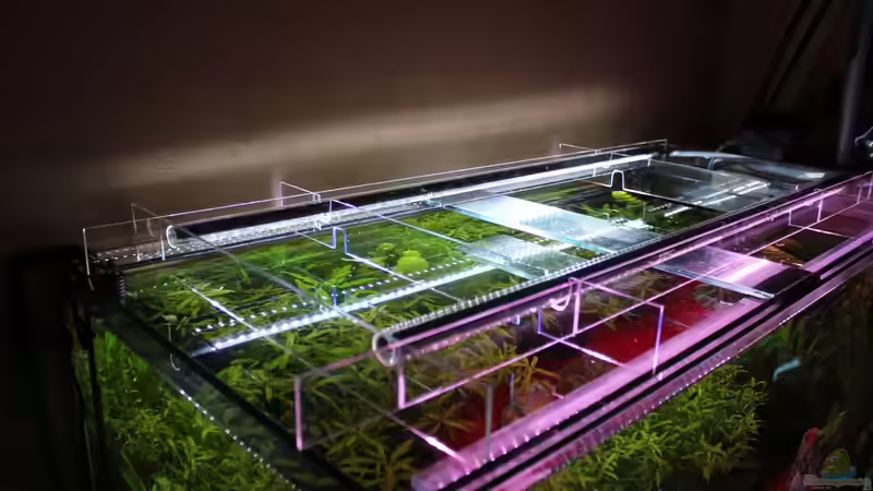 Halterung für Beleuchtung aus Acrylglas gebastelt von Chaos Master (9)