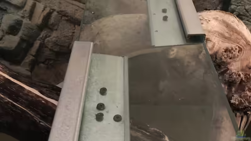 Halterung für Wurzeln von Hannes Klotz (9)