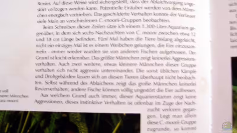 Haltungsrichtlinien Malawi