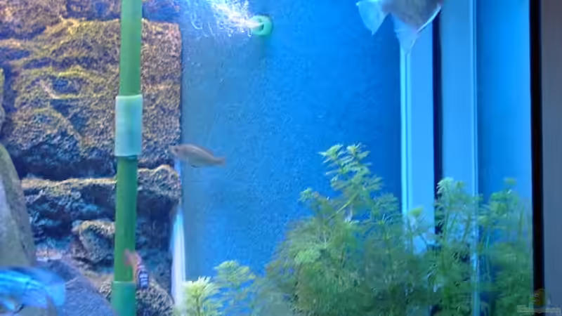 Hamburger Matten Filter von Marc Strubel (18)