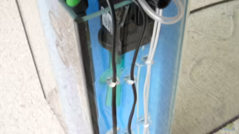 Hamburger Mattenfilter nach Fertigstellung von Ronny Meyer (5)