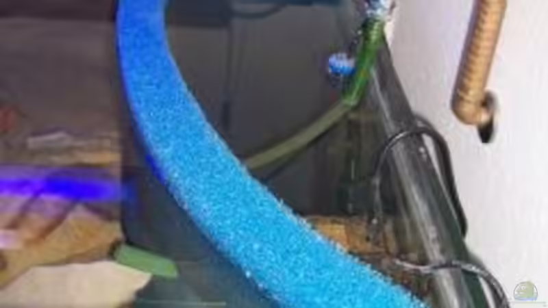 Hamburger Mattenfilter von Oliver Hoß (3)