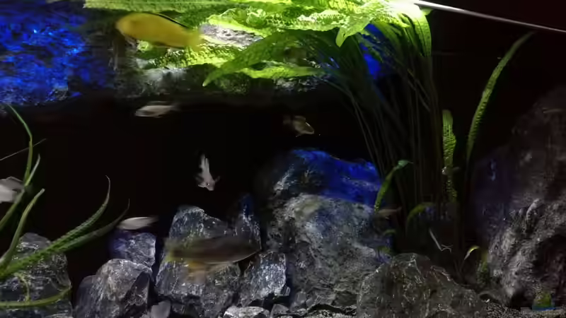 Hammerschlag  von Heike Fuchs (18)