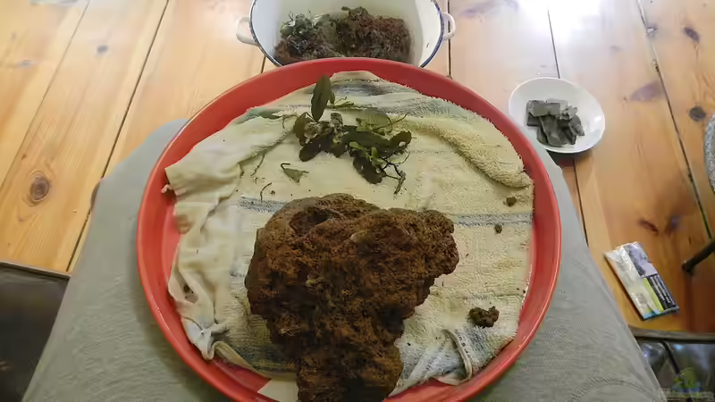 Handarbeit. von miv (4)