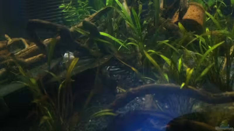 Handyaufnahme 1x L 46, der rest versteckt sich unter der linken Schieferplatte ;-) von John_Wayne (7)