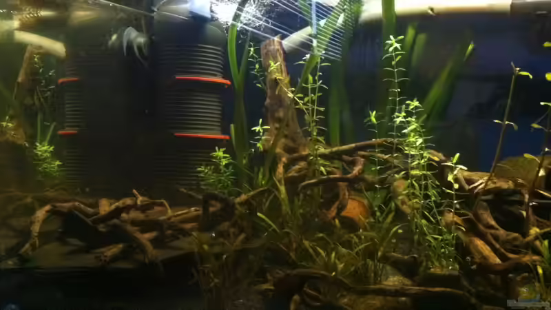 Handyaufnahme Eheim innenfilter von John_Wayne (5)