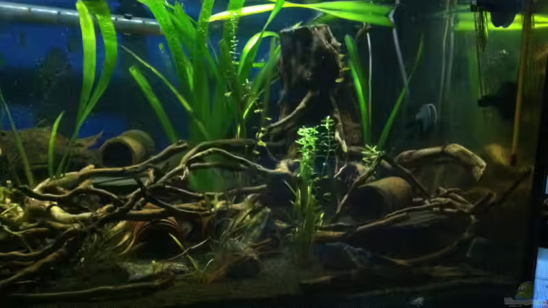 handyaufnahme Höhlen, Pflanzen und ??ste von John_Wayne (4)