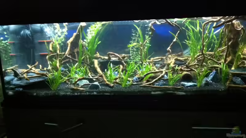 Handyaufnahme Voderansicht von John_Wayne (2)