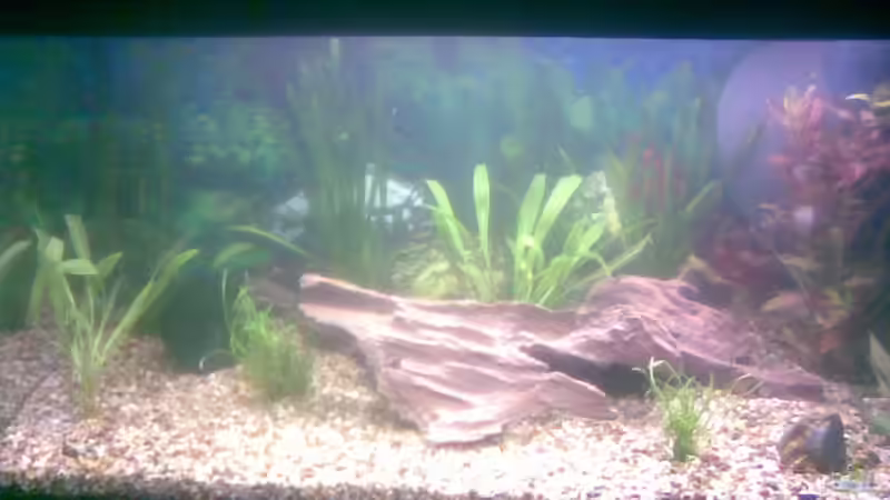 Handyfoto von Anja Berger