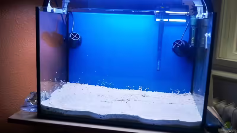 Hang On und die zwei Tunze Pumpen von Andreas Fleischer (6)