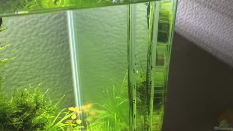 HangOn Thermometer von Ayahuasca (137)