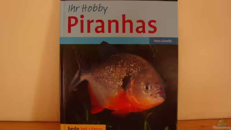 Hans Gonella  von Pülschi 87 (36)