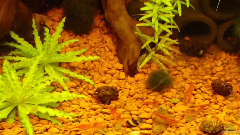 Happy Hour von Sailfish (15)