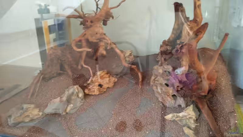 Hardscape - erste Ideen von Solvin (23)