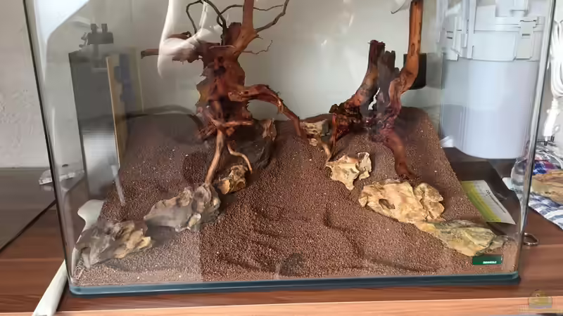 Hardscape - erste Ideen von Solvin (24)