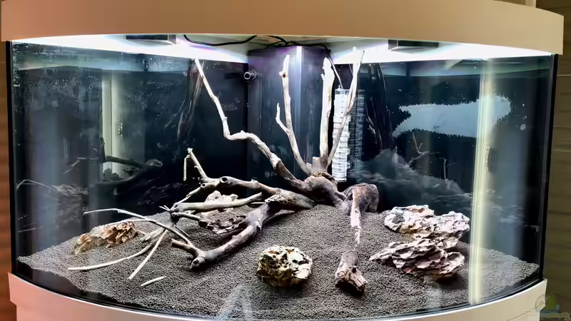 Hardscape, Talawa mit Dragonstone von Sergio Bandeiras (11)