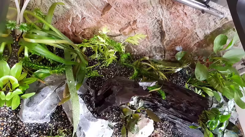 Hardscape  von Manuela&Mike (3)