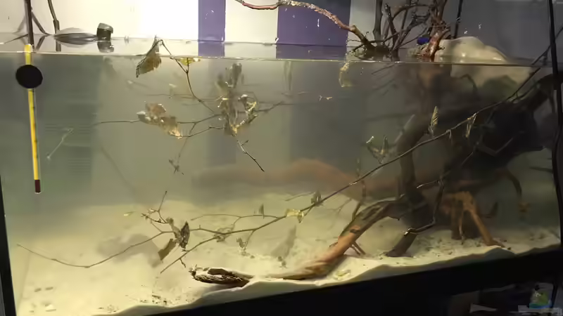 Hardscape  von Raven887 (2)