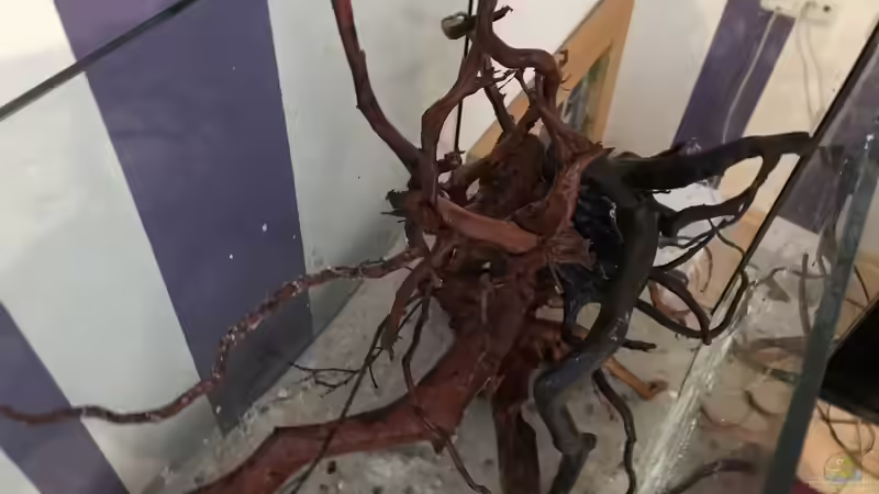 Hardscape  von Raven887 (23)