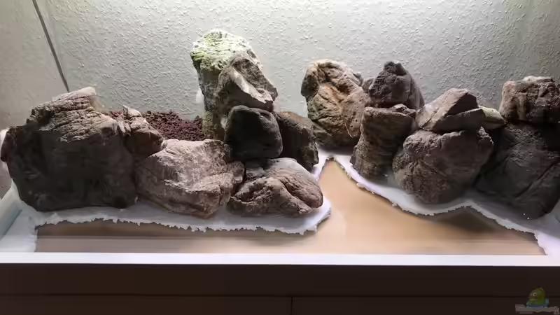 Hardscape auf Styropor gesetzt von Der Nicky (6)