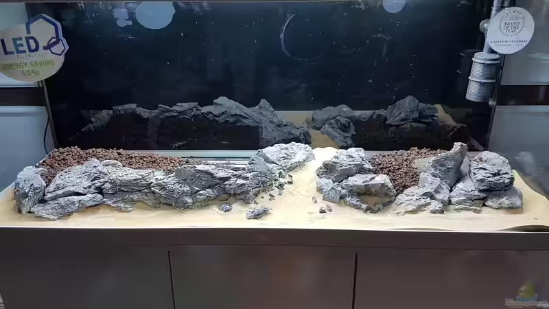 Hardscape Aufbau...mit den schönen aber in der Masse nicht unproblematischen  Seiryu von Köllebärbling (19)