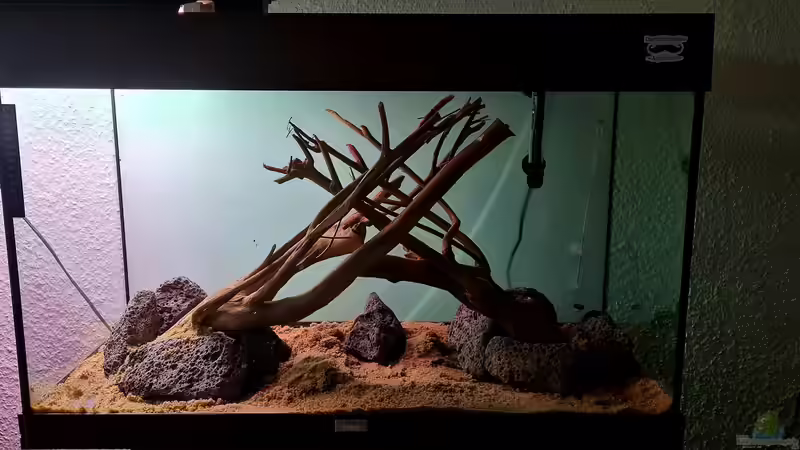 Hardscape Aufbau  von David Schneider Aquaristik (6)