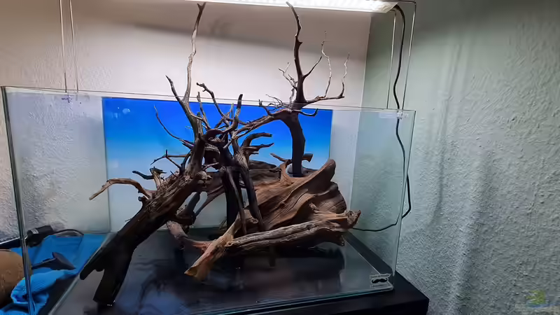 Hardscape Aufbau von David Schneider Aquaristik (15)