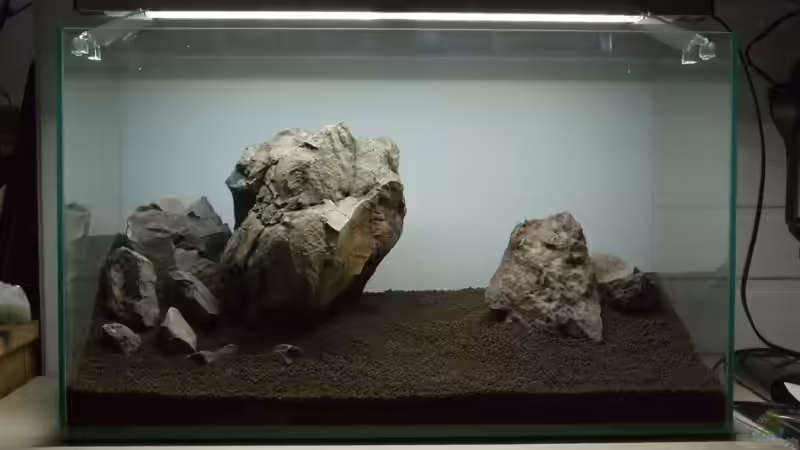 Hardscape aus Basaltgestein von Micha... (13)