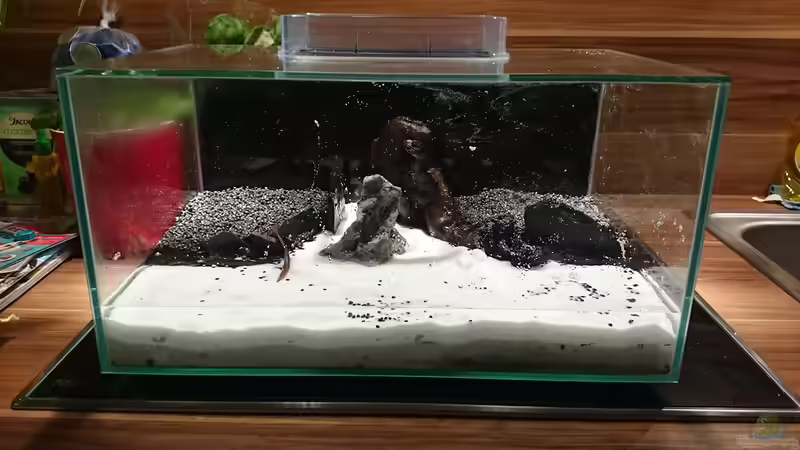 Hardscape des Aquariums von Fabian G (2)