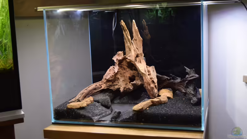 Hardscape fertig von Junglist (8)