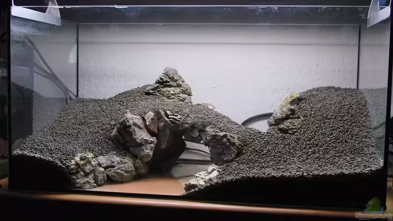 Hardscape fertig von Microsash (2)
