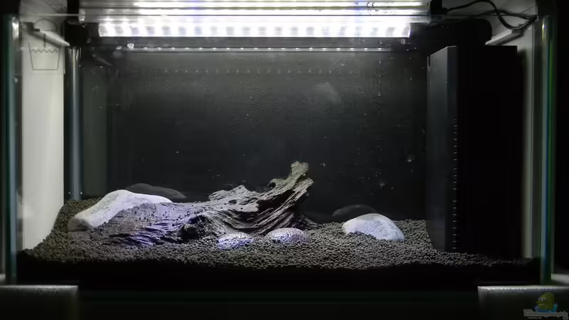 Hardscape fertsch von Alfur (14)