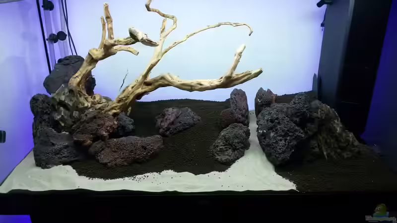 Hardscape gestaltet von Sebastian Hartmann (57)