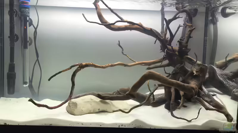Hardscape im Aufenthaltsaquarium mit Wasser von Raven887 (10)