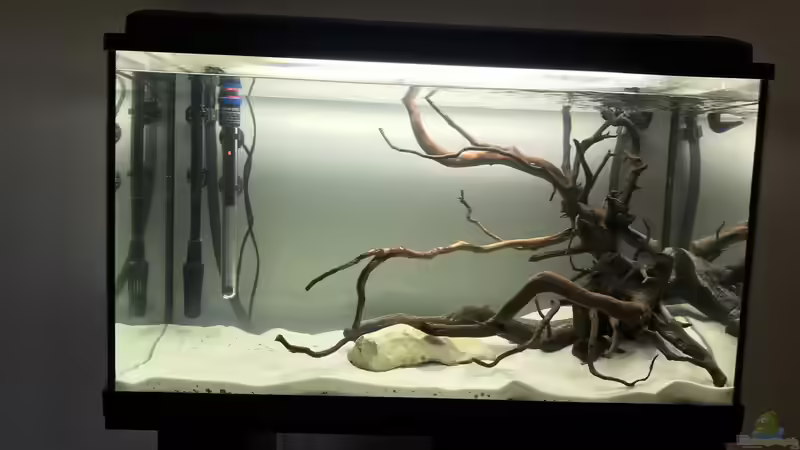 Hardscape im Aufenthaltsaquarium mit Wasser von Raven887 (11)