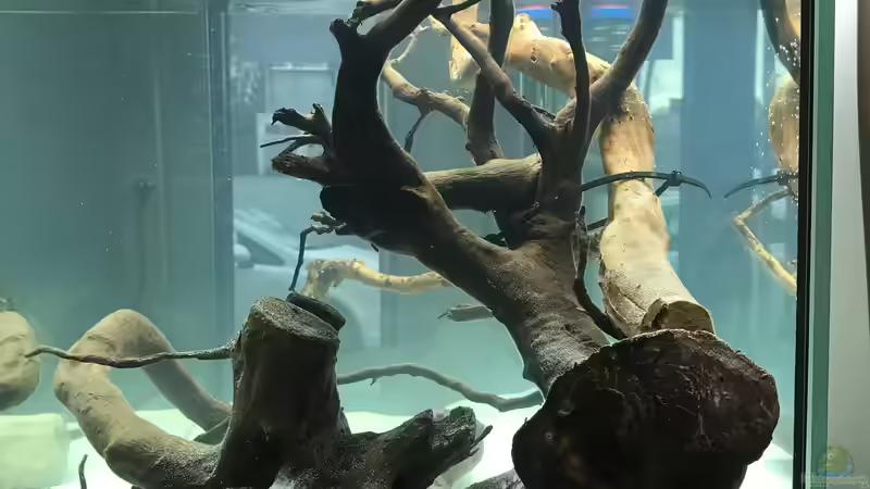 Hardscape im Aufenthaltsaquarium mit Wasser von Raven887 (9)