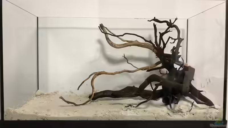 Hardscape im Aufenthaltsaquarium von Raven887 (12)