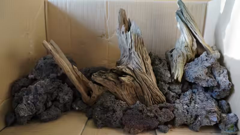 Hardscape in der maßstabsgerechten Bastelkiste ;-) von Micha... (32)