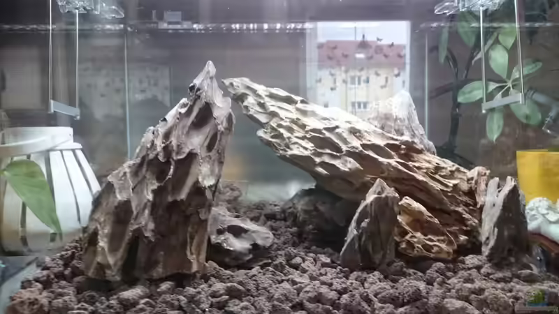 Hardscape Lavamulch von Helle (8)