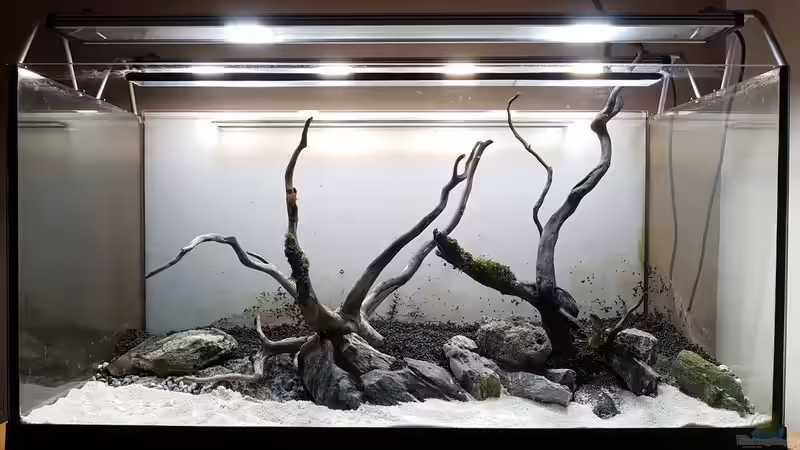 Hardscape mit JBL Sansibar ´River´ im Vorgergrund von YoshiMaus (4)