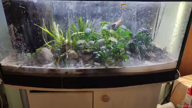 Hardscape mit Pflanzen von SoSi (7)