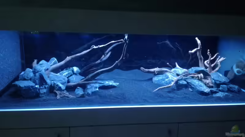 Hardscape Moorkienholz und Basalt von Niederbayer_Andee (13)