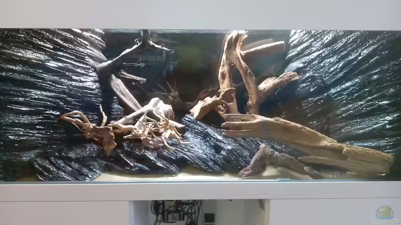 Hardscape ohne Wasser von Thorsten G. (2)